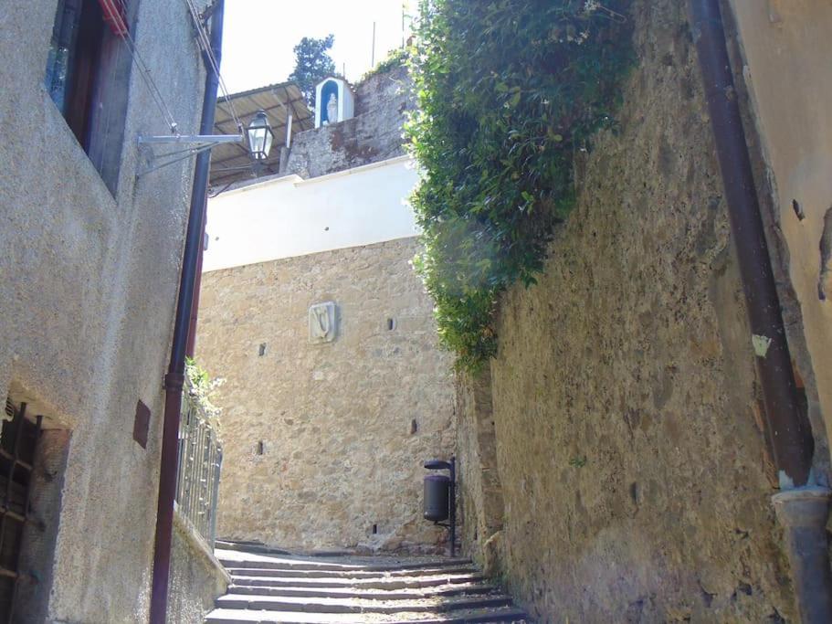 Villa Rustico San Jacopo Gallicano Exterior foto